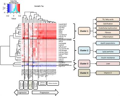 Bayesian network analysis of panomic biological big data identifies the importance of triglyceride-rich LDL in atherosclerosis development